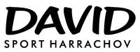 David sport