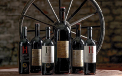 VINOTÉKA VINSELEKT MICHLOVSKÝ