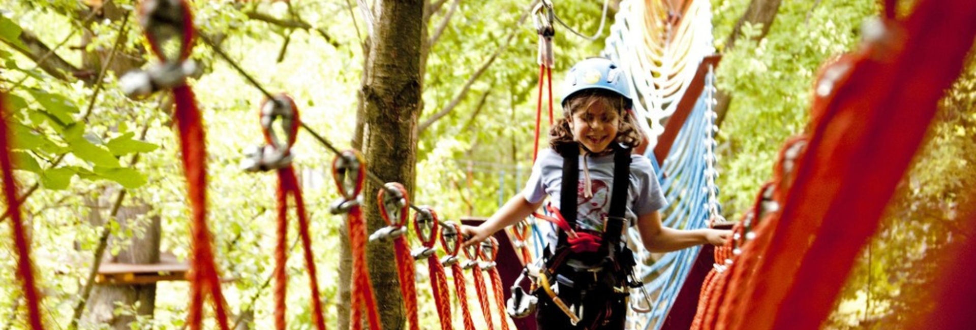 YELLOW POINT - LANOVÝ PARK KATIKA MITI
