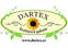 DARTEX