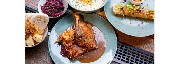 POTREFENÁ HUSA PLATNÉŘSKÁ