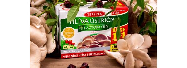 TEREZIA COMPANY
